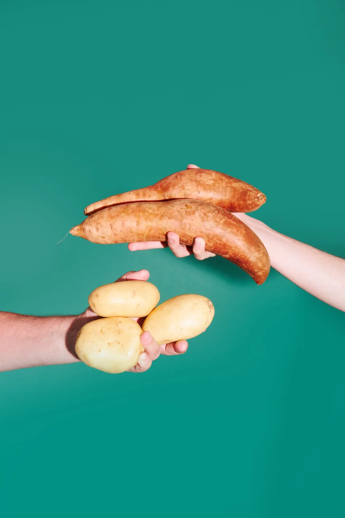 SpudBAR